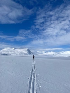 IMG_7689